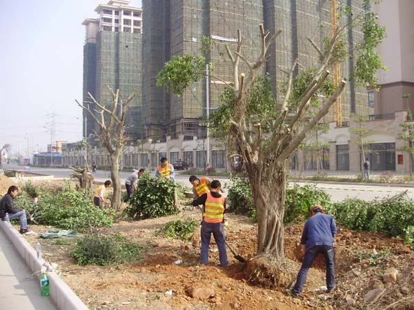 九游网·官方端网站登录入口-九游（中国）
坦洲界狮南路